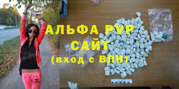 индика Алексин