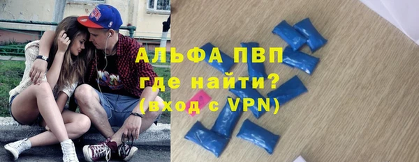 индика Алексин