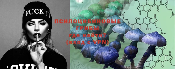 индика Алексин