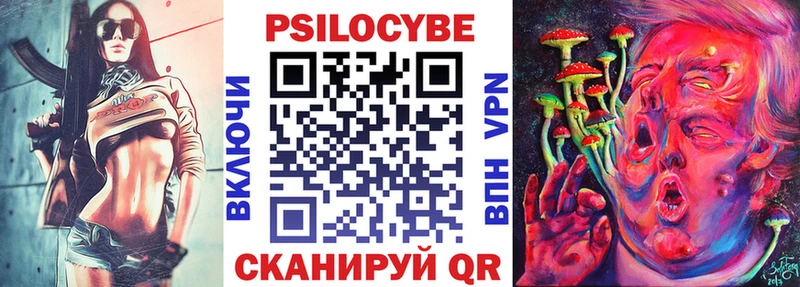 Псилоцибиновые грибы Cubensis  Переславль-Залесский 
